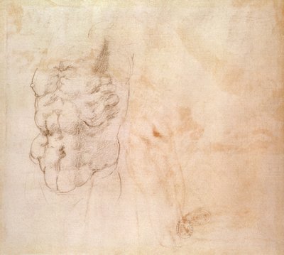 Torso Study by Michelangelo Buonarroti